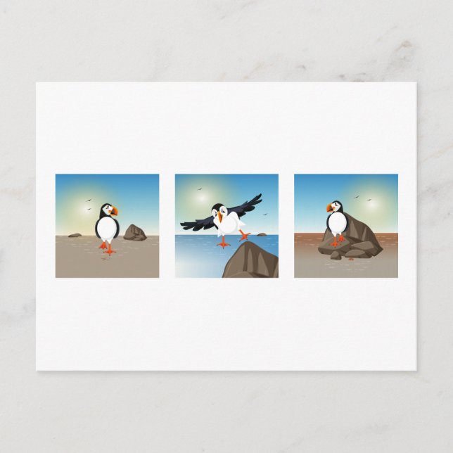 Bird illustration - The Puffin Postcard (Front)