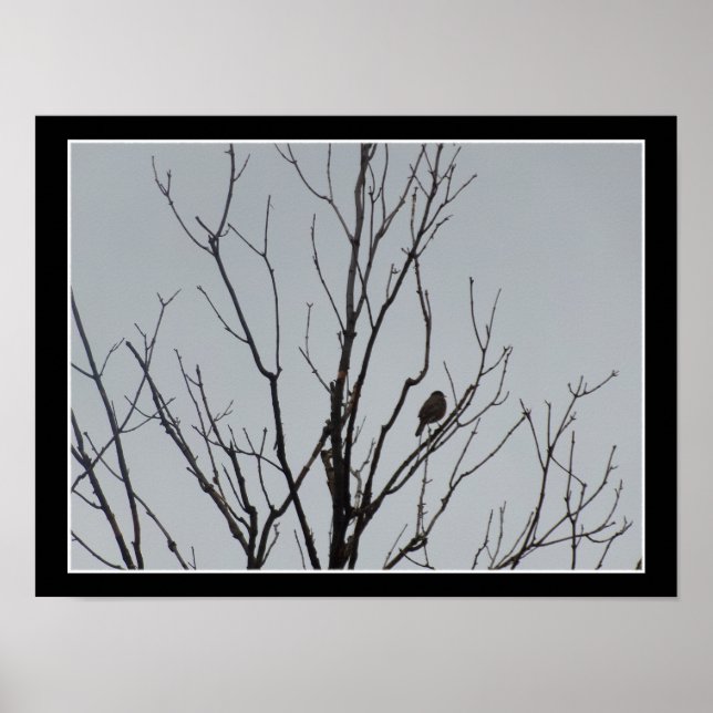 Bird in a Bare Tree Poster (Front)