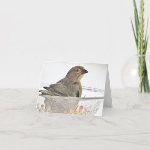 Bird in a Bowl - Blank Greeting Card