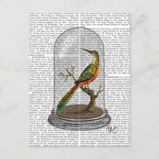 Bird In Bell Jar Postcard (Front)