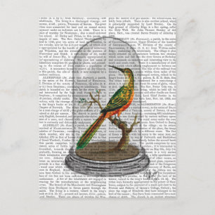 Bird In Bell Jar Postcard