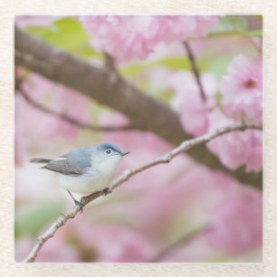 Bird in Blossom Tree Glass Coaster