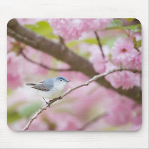 Bird in Blossom Tree Mouse Mat