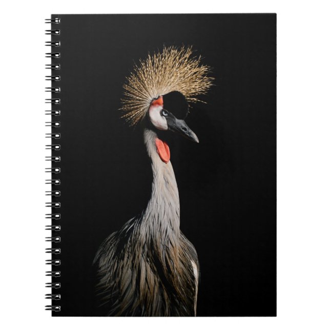 BIRD IN BRAZIL NOTEBOOK (Front)