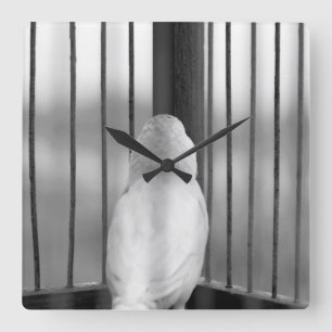 Bird in Cage Square Wall Clock