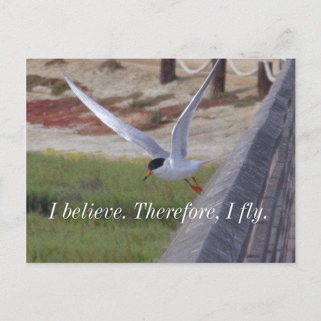 Bird in Flight Believe Quote Postcard (Front)