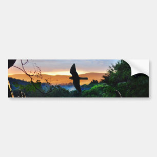 Bird in flight in the forest bumper sticker