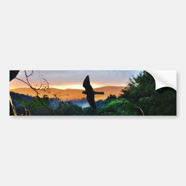 Bird in flight in the forest bumper sticker (Front)