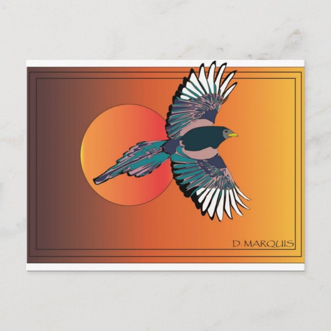 BIRD IN FLIGHT POSTCARDS (Front)