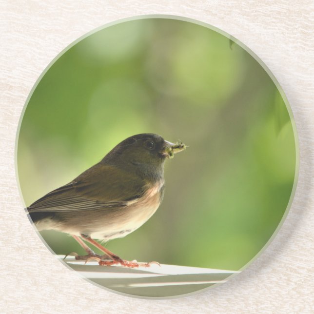 Bird in green leaves background coaster (Front)