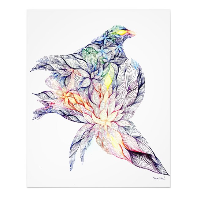 Bird in her nest photo print (Front)