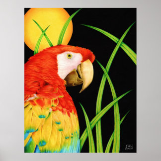Bird in Paradise Poster