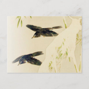 Bird in Snow Scene, Watanabe Seitei Postcard