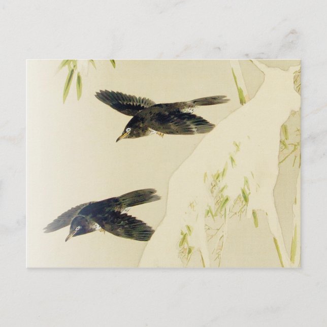 Bird in Snow Scene, Watanabe Seitei Postcard (Front)