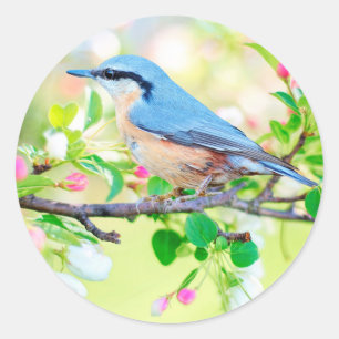 bird in spring stickers