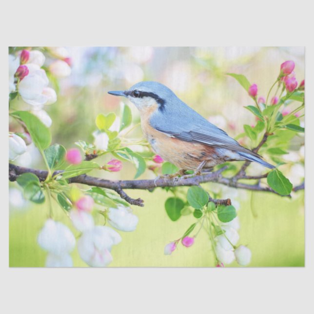 bird in spring tissue paper (Front)