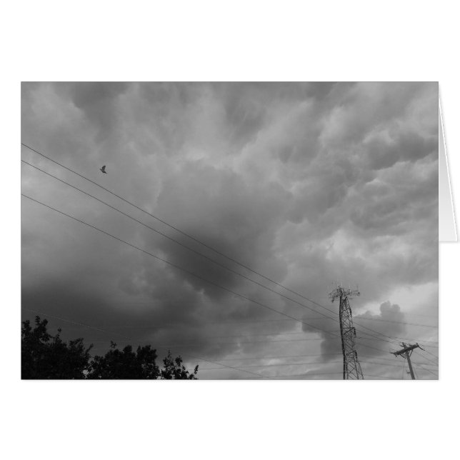 Bird in the Cloudscape / Noir (Front Horizontal)