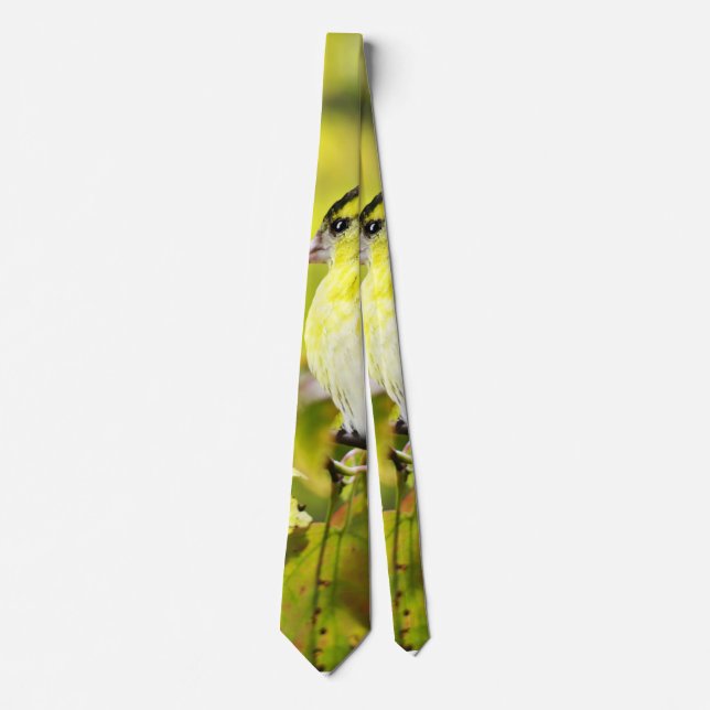 Bird in the Yellow Tie (Front)