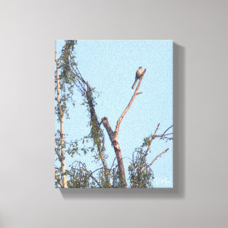 Bird in Tree Wall Art