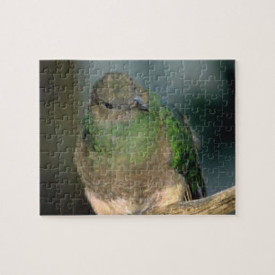 Bird Jigsaw Puzzle