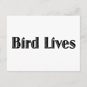 Bird Lives Postcard