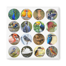Bird Lover Refrigerator Magnet