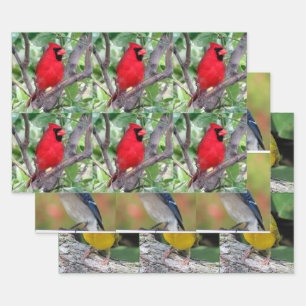 Bird Lover's - 3 Design - All Occasion Wrapping Paper Sheet