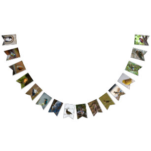Bird Lovers Bunting