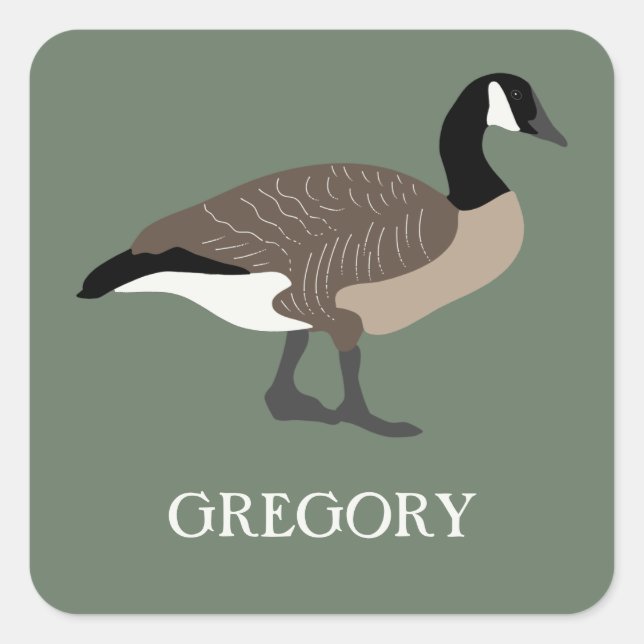 Bird Lovers Canada Geese Illustration Personalised Square Sticker (Front)