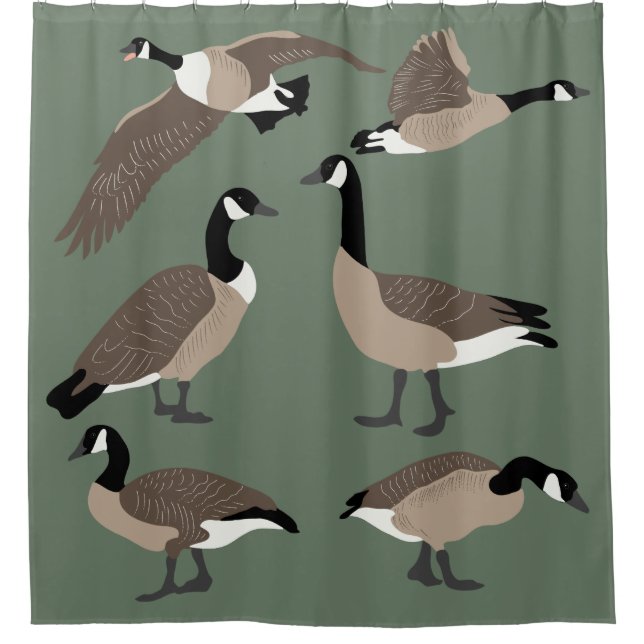 Bird Lovers Canada Geese Illustration Sage Green Shower Curtain (Front)