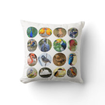 Bird Lovers Pillow 16" x 16"