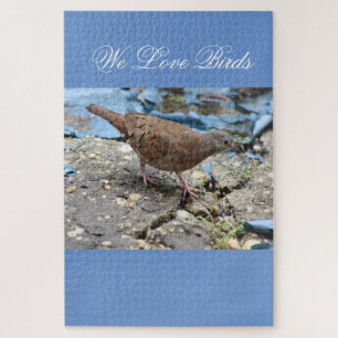 Bird Lovers Puzzle 