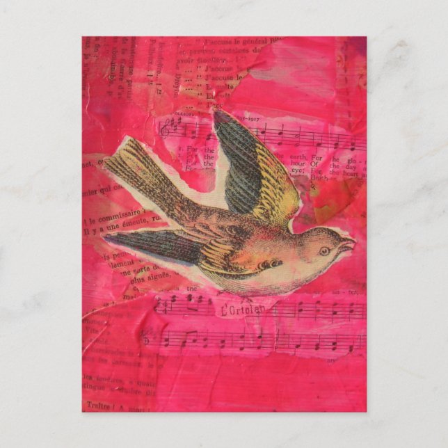Bird Mixed Media  Hot Pink Background Postcard (Front)