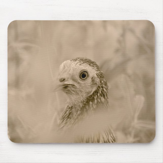 Bird Mouse Mat (Front)