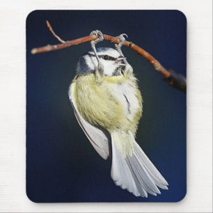 Bird Mouse Mat