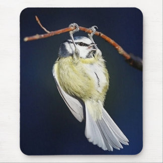 Bird Mouse Mat