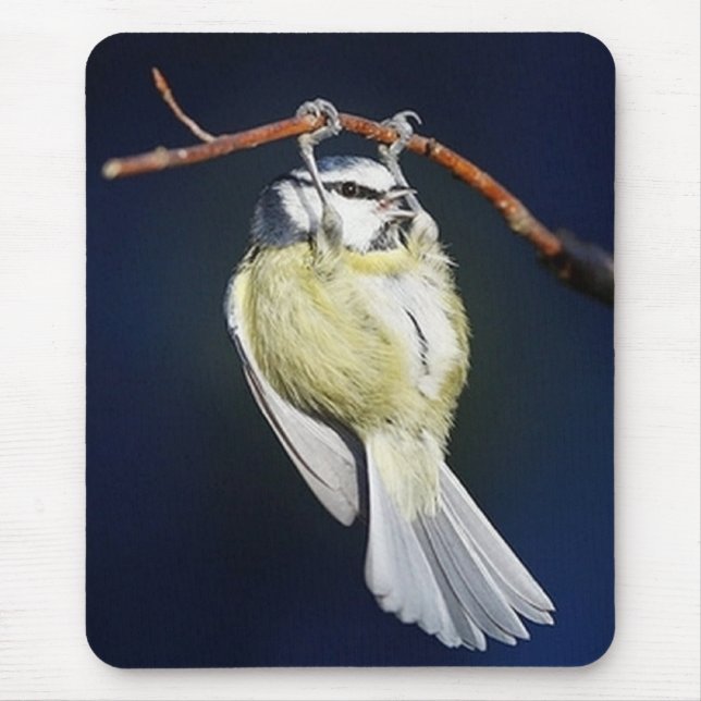 Bird Mouse Mat (Front)