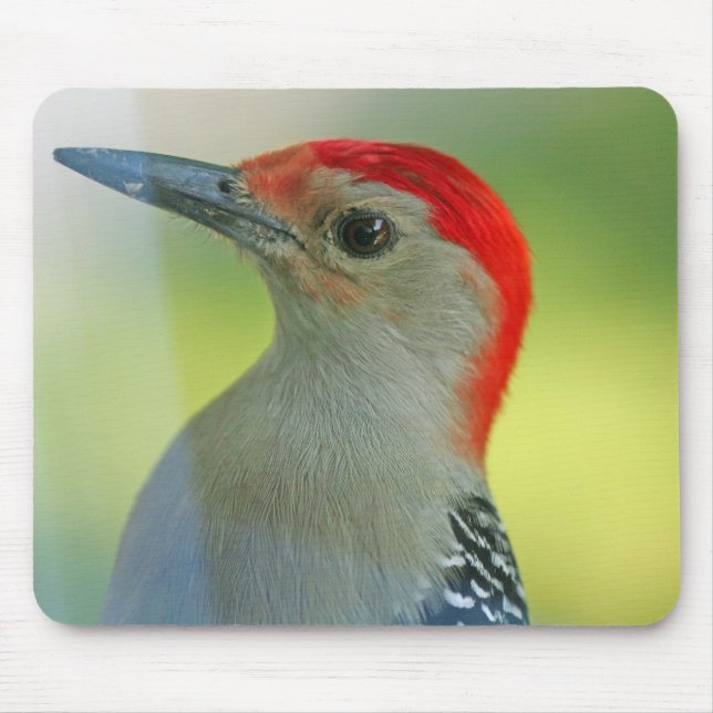 Bird Mouse pad 11 (Front)