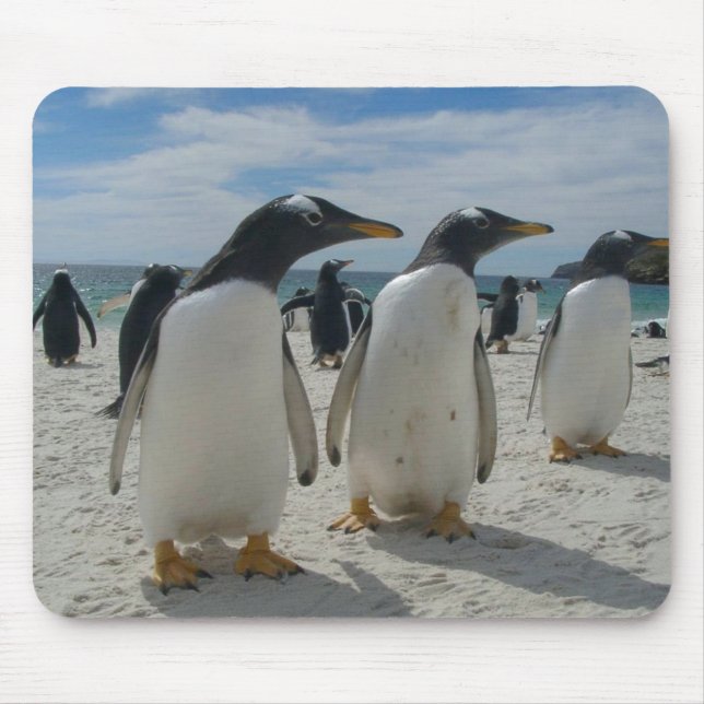 Bird Mouse pad 19 (Front)