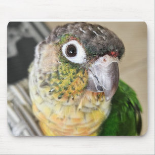 Bird Mouse Pad and Desk mat