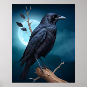 Bird Nature Moonlight Corvid Crows  Poster
