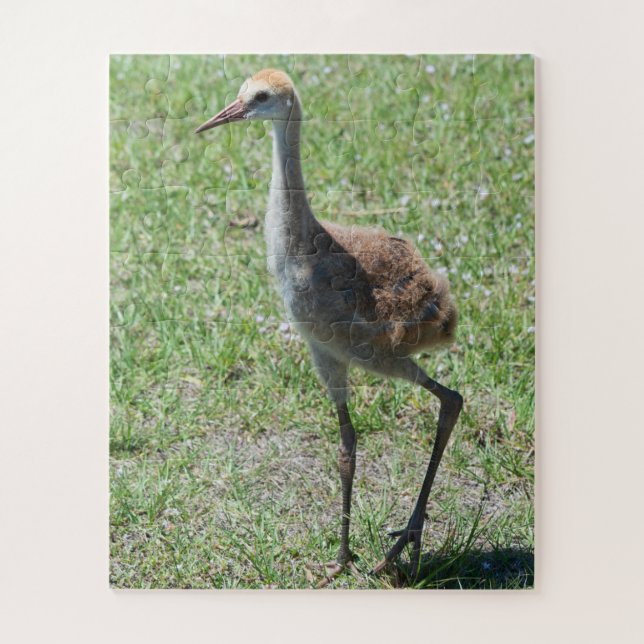 Bird Nature Sandhill Crane Wildlife Photography Jigsaw Puzzle (Vertical)