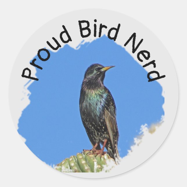 Bird Nerd Pretty Black Starling Cactus Birdwatcher Classic Round Sticker (Front)