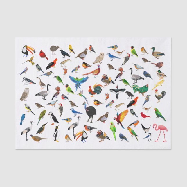 Bird Nerd Tissue Paper (Front)