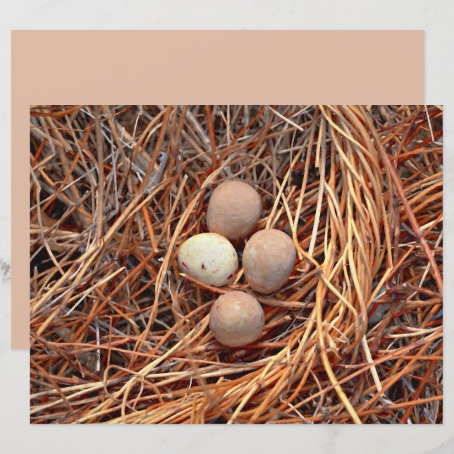 Bird Nest Brown Eggs Old Vintage Antique Retro (Front/Back)