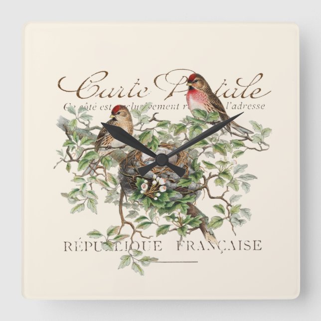 Bird Nest Carte Postale French Vintage Square Wall Clock (Front)
