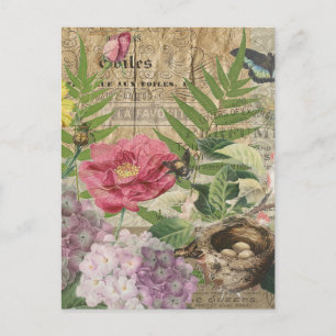 Bird Nest Floral Garden Flower Butterfly Art Postcard