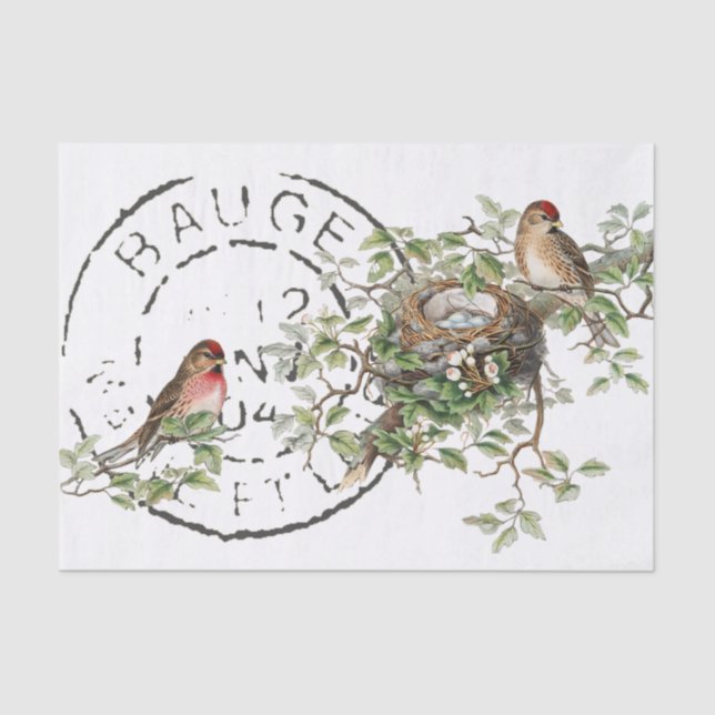 Bird Nest French Postmark Vintage Decoupage  Tissue Paper (Front)