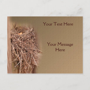 Bird Nest In Fence Nature Postcard