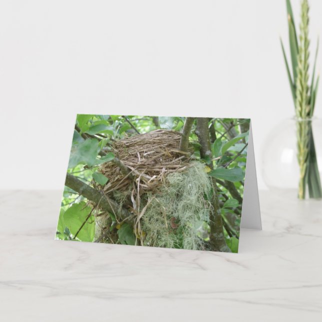 Bird nest notecard (Front)